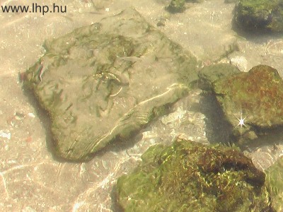 Sharm el-Sheikh, Egyiptom