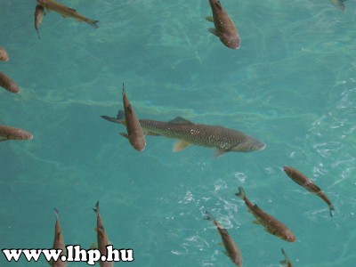 Plitvicei tavak �s Biogr�d