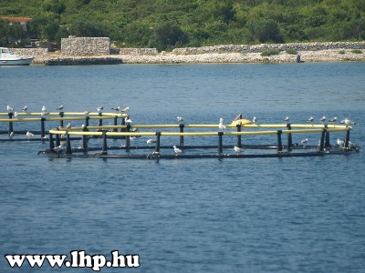 Plitvicei tavak �s Biogr�d
