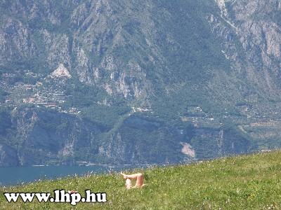 Garda-t [ Lago di Garda ] - Gardaland