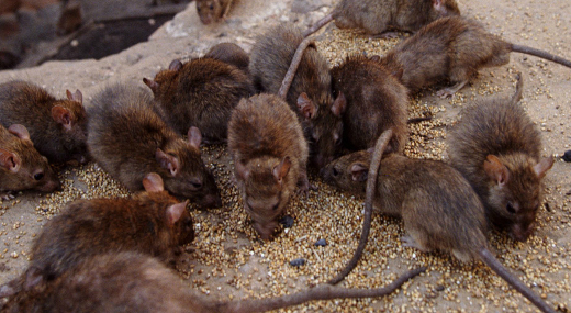 �gy�szs�gi eb�d