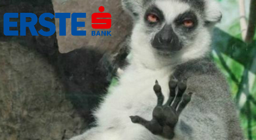 Kamu az Erste Bank cs�dje
