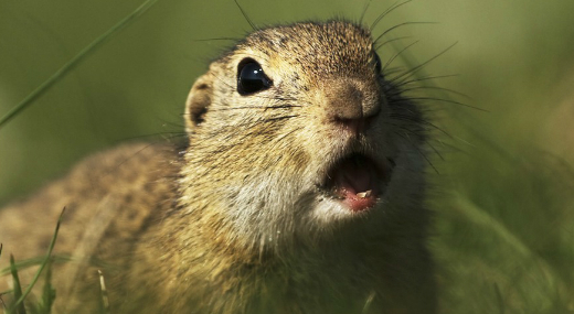 Az �v eml�se pedig nem m�s, mint: