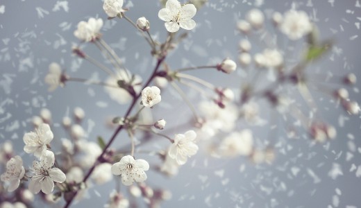 J�n a leh�l�s, visszat�rhet a h� is