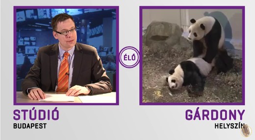 M1 H�rad� - Dumasz�nh�z kiad�s