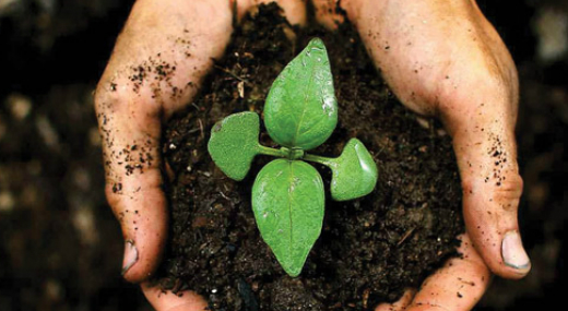 Ab: alkotm�nyellenes az �llami f�ldvagyonr�l sz�l� t�rv�ny nemzeti parkokkal kapcsolatos m�dos�t�sa