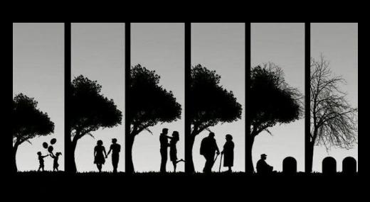 T�bben sz�lettek, de m�g t�bben haltak meg