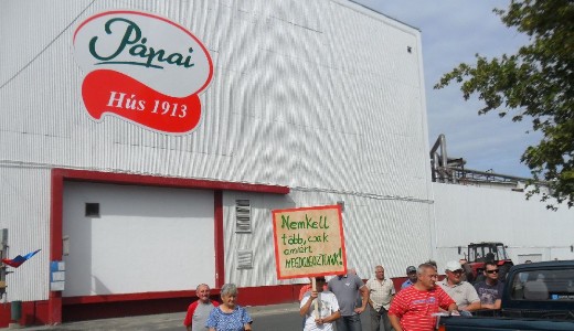 Heteken bell krtalantja a kormny a Ppai Hs beszlltit
