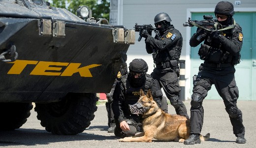 Fegyverekkel, bombkkal rendelkez csoportot fogott el a TEK