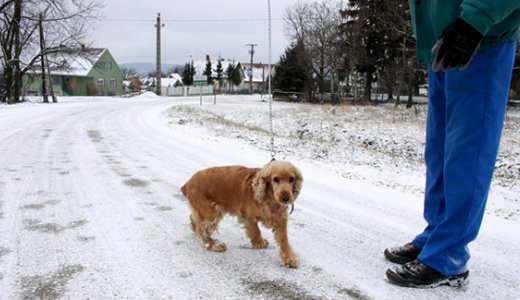 Ekkora h esett ma a Bakonyban