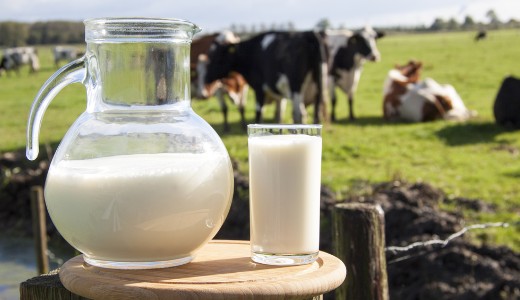 Rendkvli tmogatst kapnak a tejtermelk 