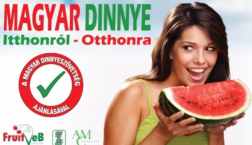 Htftl kaphat a hazai grgdinnye