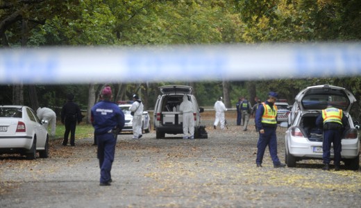 Meztelen ni holttestet talltak a Npligetben