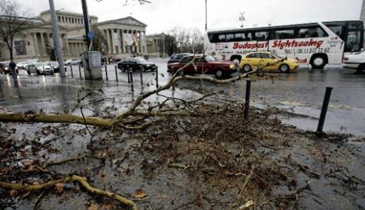 Lecsapott a vihar: fkat csavart ki a viharos szl Budapesten