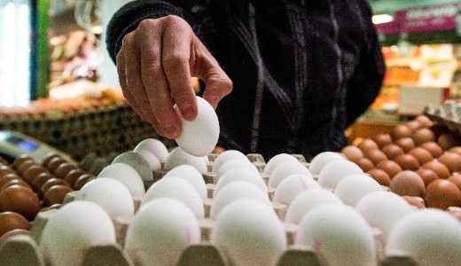jabb lelmiszerek fja cskkenhet