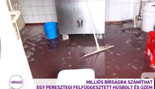 Dbbenetes llapotok voltak a soproni hszemben