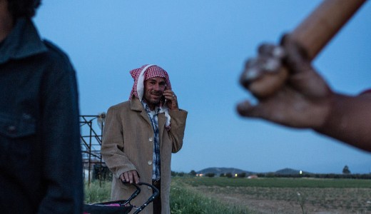 jra tmegek indulhatnak el Trkorszgbl