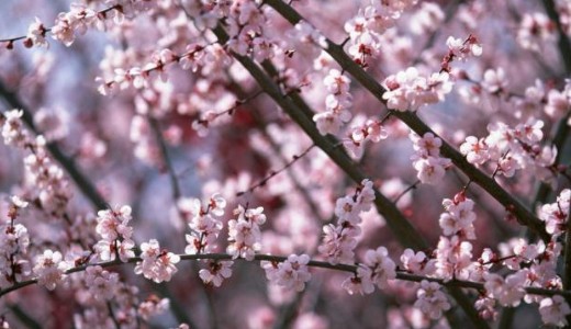 �jjel befagynak a pocsoly�k, de cs�t�rt�k�n �jra j�n a tavasz