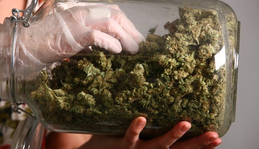 Legaliz�ln�k a marihu�n�t Fodor G�bor�k