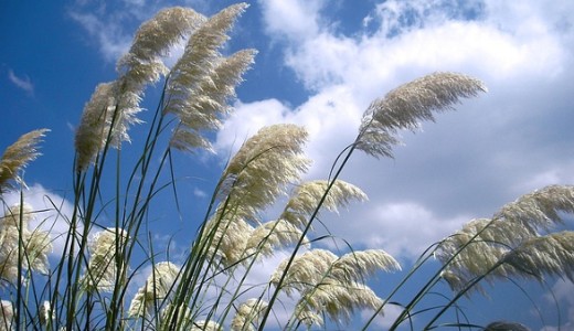 Cs�t�rt�k�n ink�bb sz�lre k�sz�lj�n, ne es�re