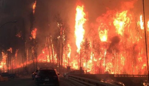 Harminc kilom�teren puszt�t a t�z Kom�rom megy�ben