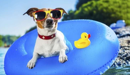 Ism�t h�s�g lesz orsz�gszerte