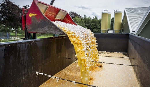 �ri�si toj�spara van Eur�p�ban, �s m�g nagyobb is lehet