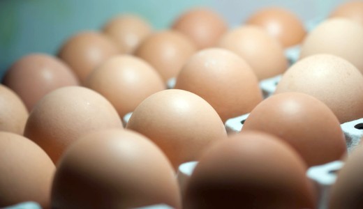 �jabb szennyezett toj�sokat tal�lt a N�BIH 