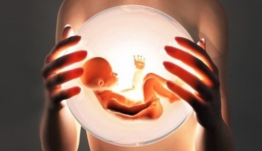 A korm�ny elhat�rol�dik a b�n�s lombikb�bis kijelent�st�l