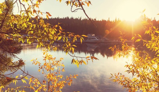 Szomor�, de ez van: bek�sz�nt az �sz - �s ezt kem�nyen meg lehet �rezni hamarosan az id�j�r�son is 