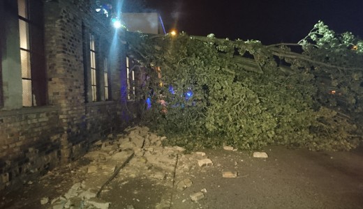 �ri�si puszt�t�s: 25 m�ter magas f�t csavart ki a f�ldb�l Budapesten a sz�lvihar