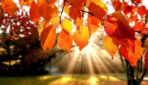 Reggel metsz� hideg, d�lut�n 20 fok lehet