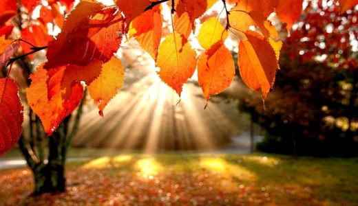 Mostan�ban melege van? No, ez �gy is marad