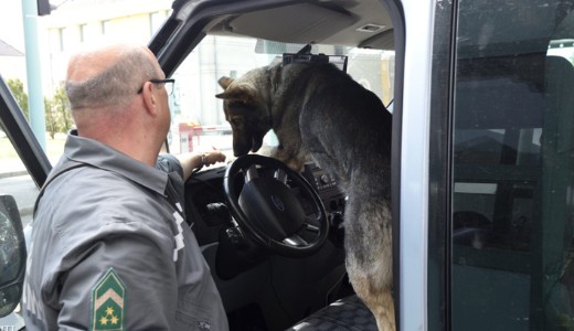 P�rul j�rhat a hat�rokon, ha ad�tartoz�sa van