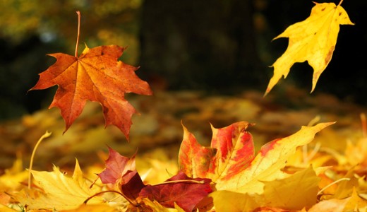 Id�j�r�s: s�rga riaszt�s viharos sz�l miatt