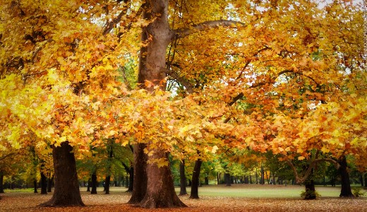 7 fokra kel�nk, de 12-n�l se lesz t�bb ma