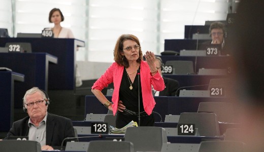 Marie-Christine Vergiat: A tagllamokat r kell knyszerteni a szolidaritsra