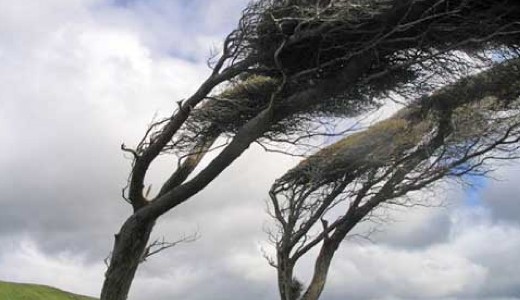 Riaszt�st adtak ki t�bb megy�re a viharos sz�ll�k�sek miatt