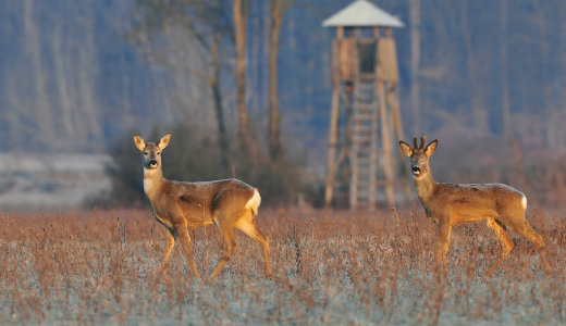 T�z fokig is melegedhet ma a leveg�