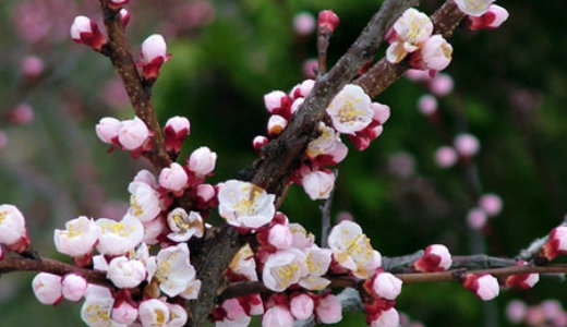 Utolj�ra 16 �ve volt ilyen szesz�lyes az id�j�r�s