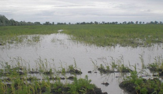 T�bb szakaszon is belv�zv�delmi k�sz�lts�get rendeltek el