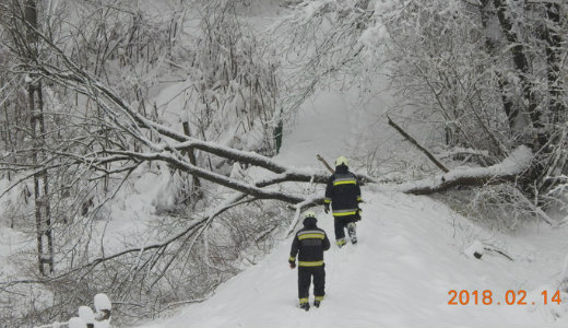 �tra d�lnek a f�k a h� s�lya alatt a B�kkben