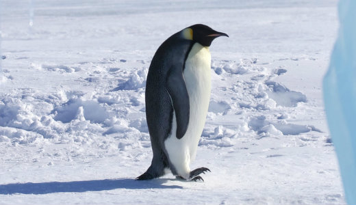 Sapka, s�l, nagykab�t – Ilyen id�re sz�m�tson a k�vetkez� napokban 