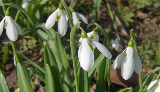 Megj�tt a tavasz, igaz, nem sok�ig marad