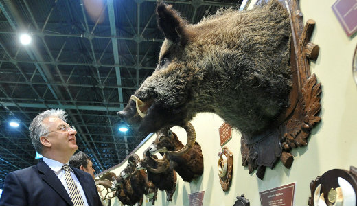 Feljelent�st tesz a Semj�n �ltal kil�tt szarvas gazd�ja Sv�dorsz�gban