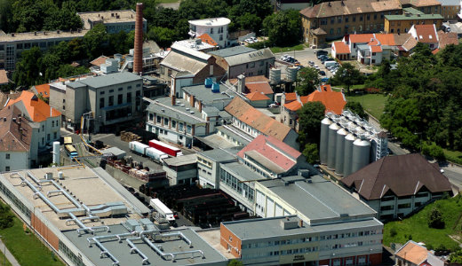 Matolcsy unokatestv�rei megford�tott�k a P�csi S�rgy�rat