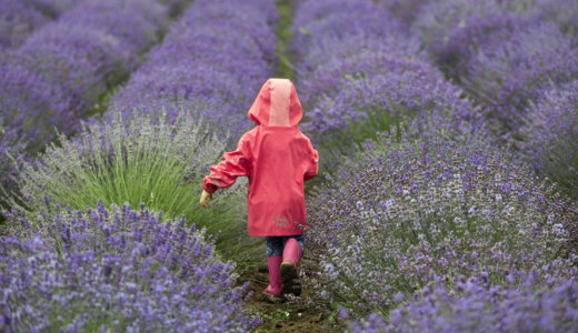 Rem�lj�k m�g nem unja a h�s�get