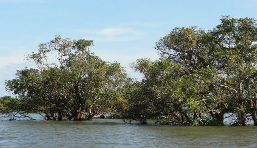 Puszt�t� �r Rom�ni�ban: orsz�gutakat mosott el �s egy hidat is t�nkretett a v�z, t�bben meghaltak 