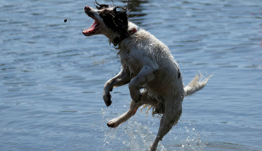 30 Celsius-fok k�r�l indul a j�lius