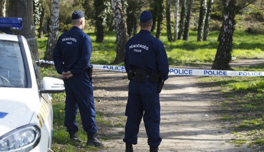 Feldarabolt holttestek a pilisszentiv�ni erd�ben